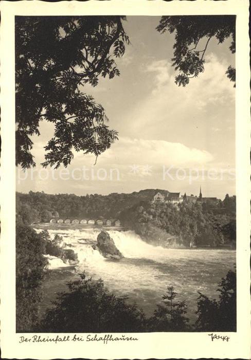 Foto Popp Nr. Rheinfall Schaffhausen