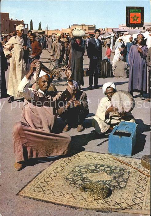 Schlangen Tiere Schlangenbeschwoerer Typen Marokko