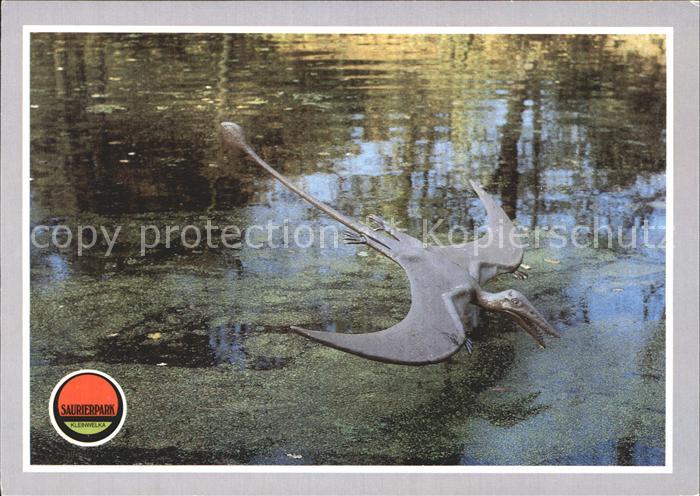 Dinosaurier Rhamphorhynchus Saurierpark Kleinwelka