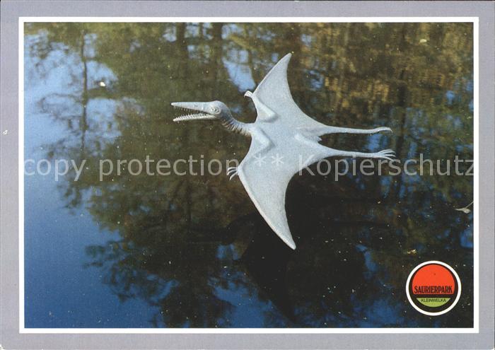 Dinosaurier Pterodactylus Saurierpark Kleinwelka