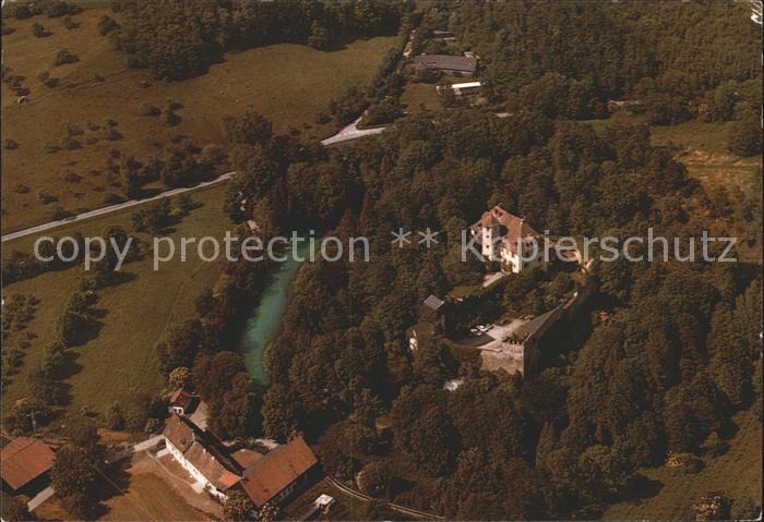 Radolfzell Bodensee Schloss Moeggingen Fliegeraufnahme