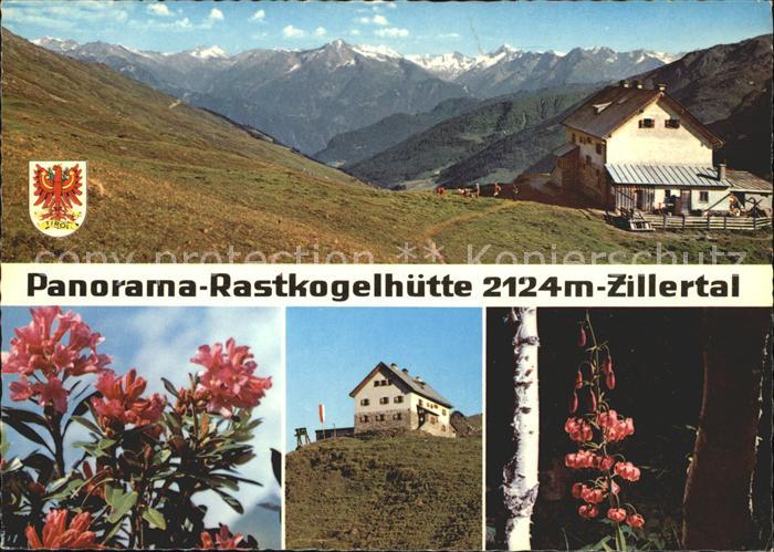 Rastkogelhuette Hippach Blumen