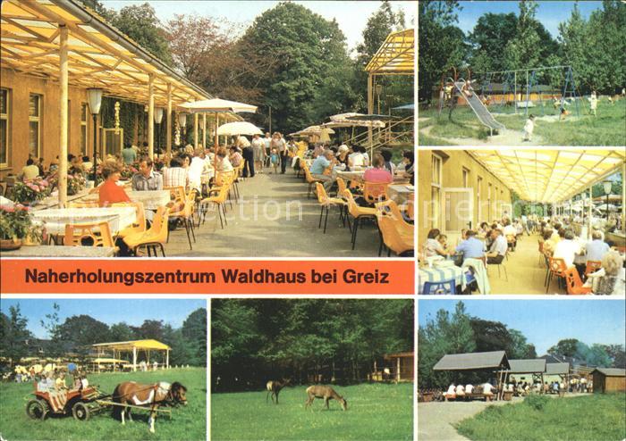 Greiz Thueringen Waldhaus Terrasse Spielplatz Ponykutschfahrt Wildgehege