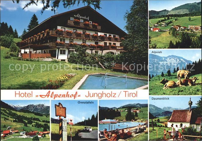 Jungholz Tirol Hotel Alpenhof Panorama Grenztafeln Swimmingpool Daumenblick Vieh