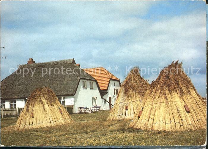 Slatni Pjasazi Hotel Berlin Heugarben
