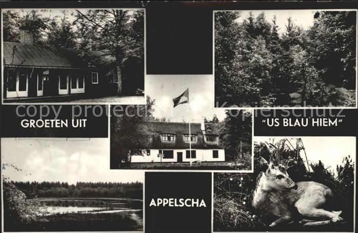 Appelscha Stichting Jeugdherberg Kamphuis Us Blau Hiem Reh