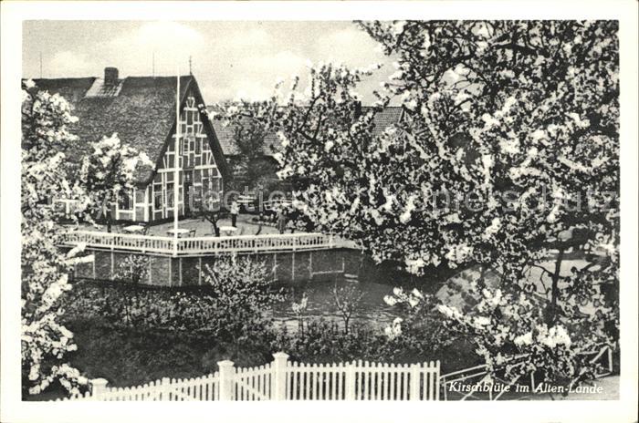 Neuenschleuse Niederelbe Gaststaette Zur Erholung Kirschbluete Alten Lande