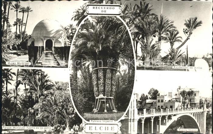 Elche Museo Municipal Parque Fuente los patos Puente Nuevo