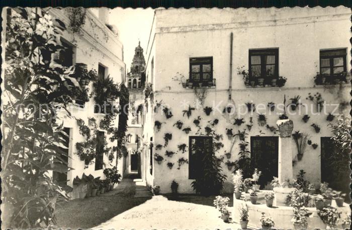 Cordoba Andalucia Lane Flowers
