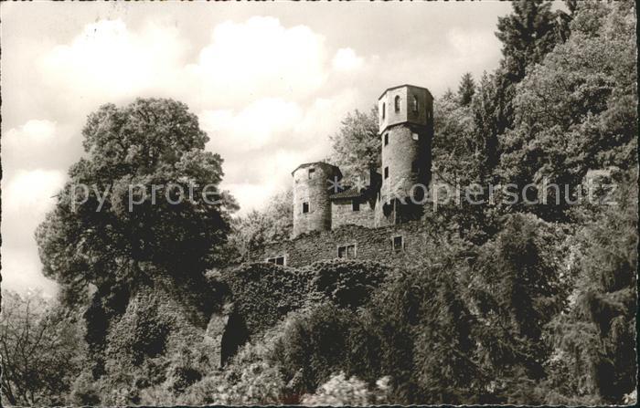 Neckarsteinach Burg Schwalbennest