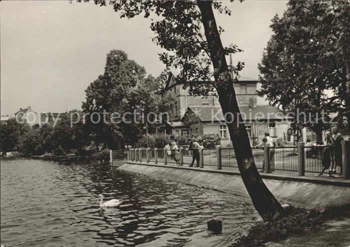 Strausberg Brandenburg Straus See