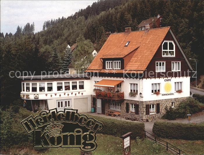 Wildemann Harz Goslar Niedersachsen Cafe Sonnenhuegel Heidelbeer Koenig