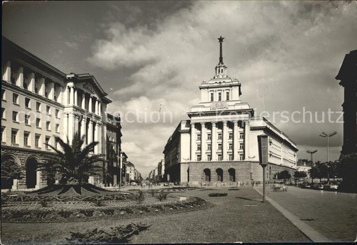 Sofia Sophia Haus Partei