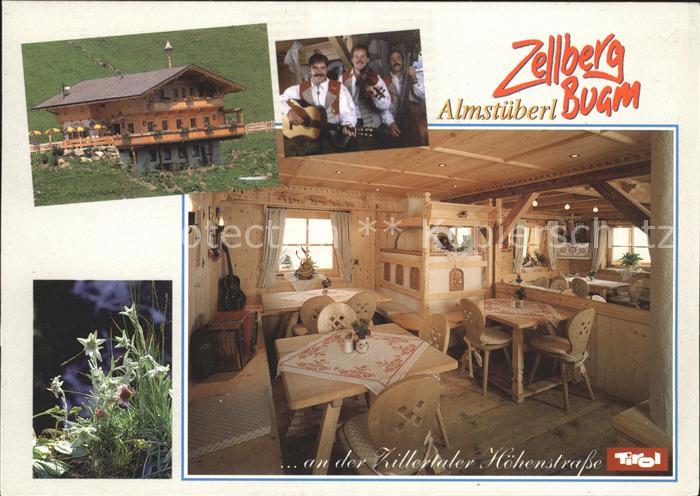 Zellberg Tirol Gasthof Almstueberl Zillertaler Hohenstrasse Alpenflora