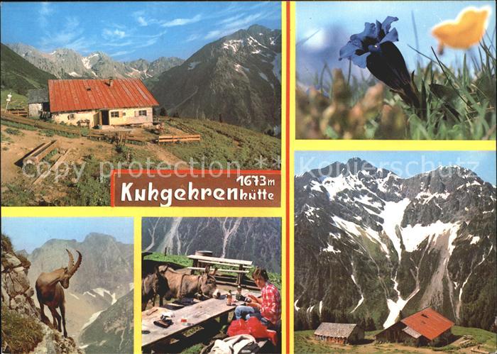 Hirschegg Kleinwalsertal Vorarlberg Kuhrehrenalpe Alpenflora Enzian Gemse Alpenp