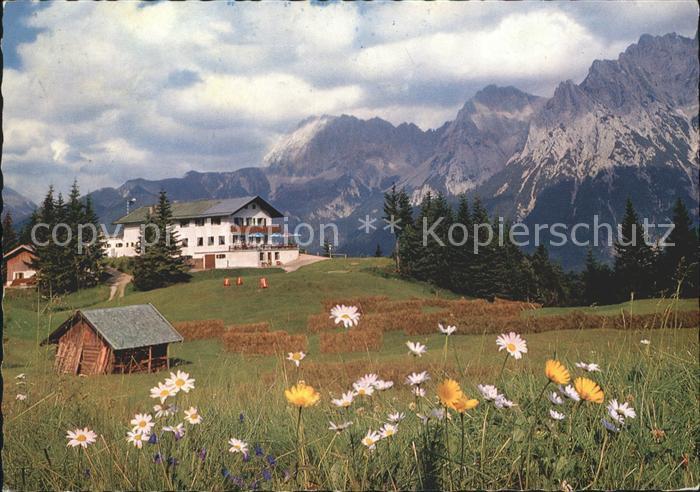 St Anton Kranzberg Panorama gegen Karwendelgebirge Bergwiese