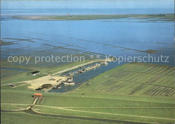 Tuemlauer Koog Hafen Halbinsel Eiderstedt Fliegeraufnahme