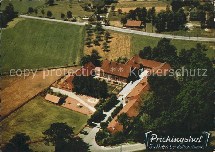 Sythen Prickingshof Westfaelischer EWG Musterhof Fliegeraufnahme