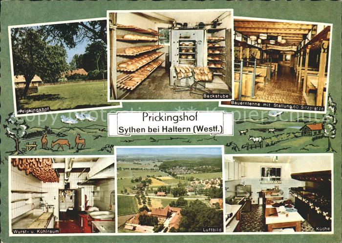 Sythen Prickingshof Westfaelischer EWG Musterhof Teilansichten