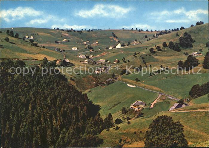 Hofsgrund Schauinsland