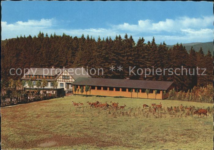 Rinsecke Freigehege Rothaargebirge Schulte-Wrede