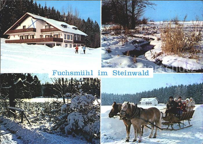 Fuchsmuehl Naturpark Steinwald Pferdeschlitten