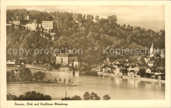PAssAU Bayern Blick auf Dreifluesse Muendung