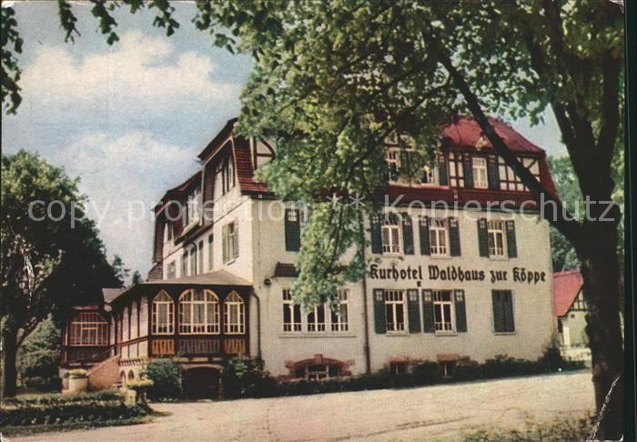 Bad Klosterlausnitz Kurhotel Waldhaus zur Koeppe