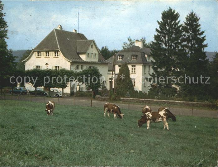 Amel Belgien Missionshaus St Raphael Kuehe