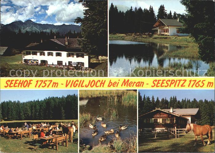 Vigiljoch Gasthof Seehof Seespitz Schwarze Lack Enten Haflinger