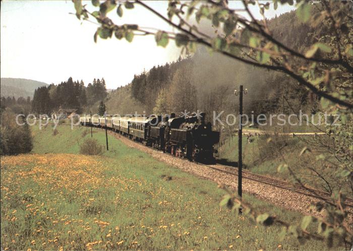 Eisenbahn Museumsbahn Wutachtal 931360 931394