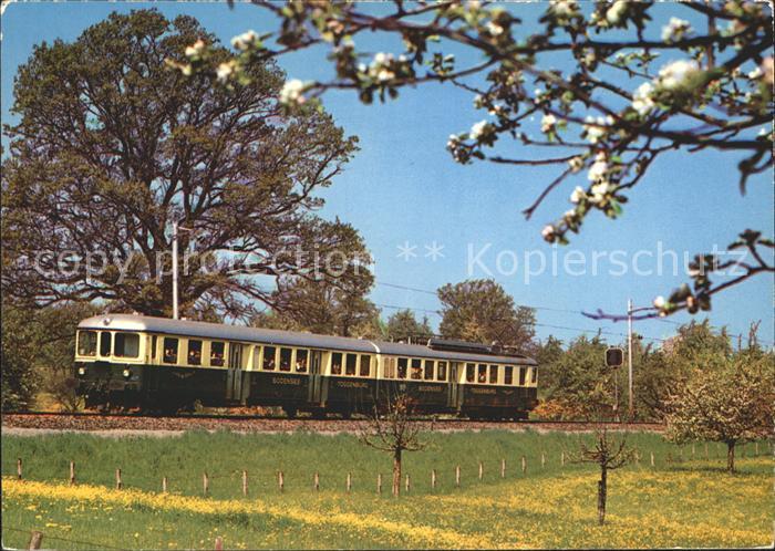 Eisenbahn Bodensee-Toggenburgbahn Bluestfahrt Thurgau