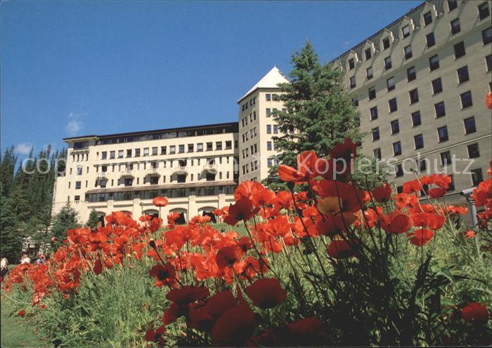 Blumen Lake Louise Canada