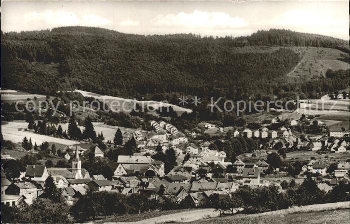 Waldmichelbach im Odenwald Panorama