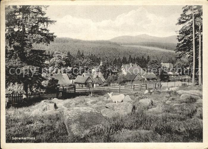 Schierke Harz Panorama
