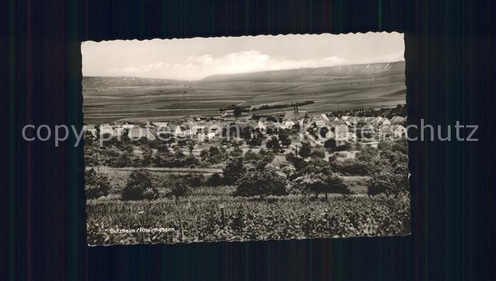 Sulzheim Rheinhessen Panorama