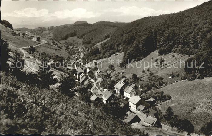 Lerbach Harz Panorama