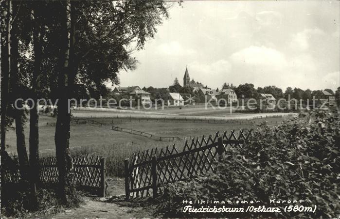 Friedrichsbrunn Harz Ortsansicht