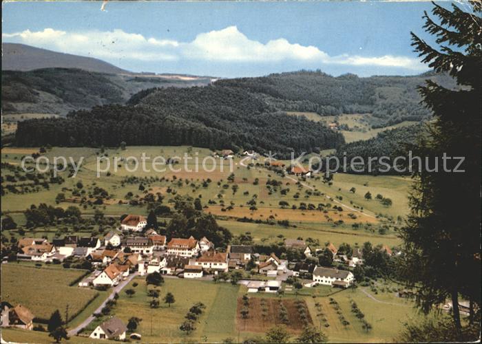 Zell Harmersbach OT Unterharmersbach Panorama