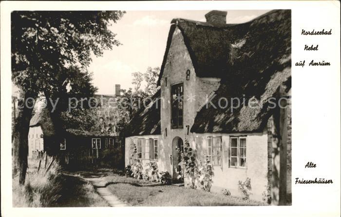 Nebel Amrum Alte Friesenhaeuser