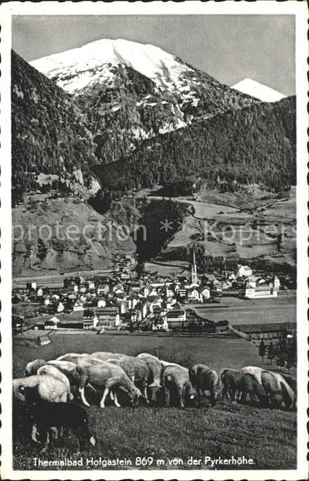 Hofgastein Blick von der Pyrkerhoehe Schafherde Alpenpanorama
