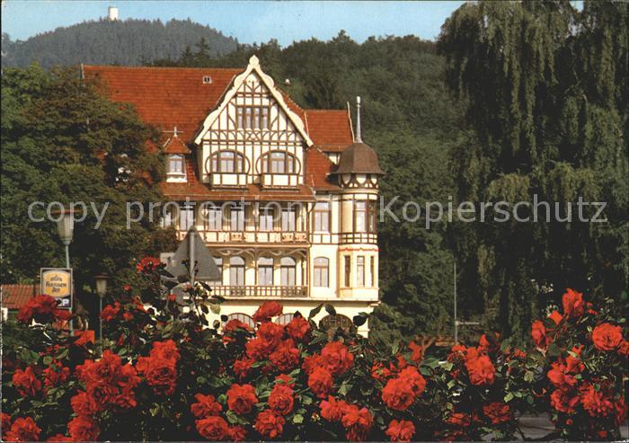 Bad Sachsa Harz Reichsbundheim Rosenhecke