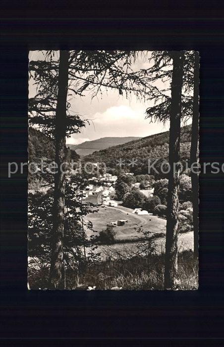 Hirschhorn Neckar Odenwald Zeltplatz