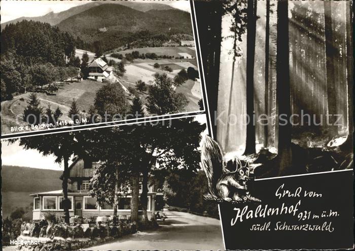 Neuenweg Gasthof Haldenhof Belchen Waldpartie Schwarzwald
