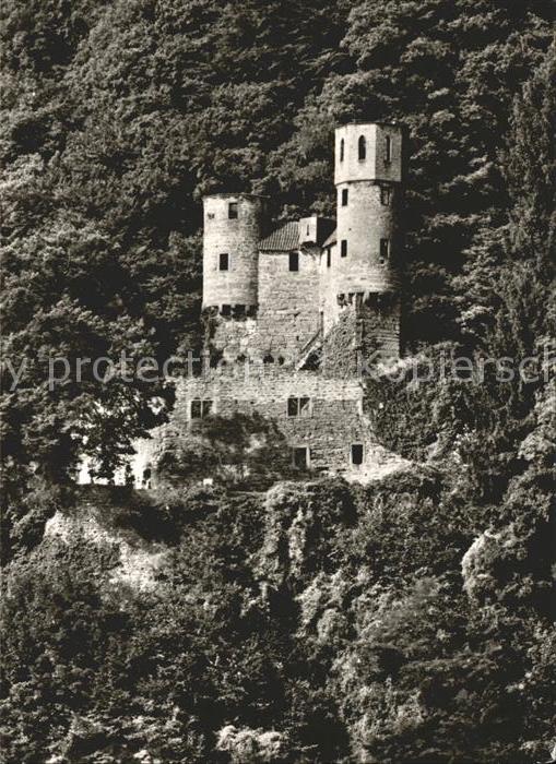Neckarsteinach Burg Schadeck Burg Schwalbennest