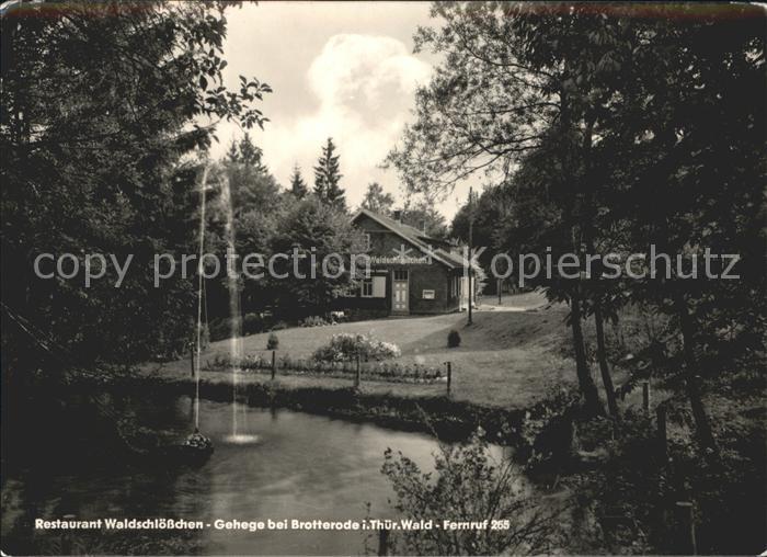 Brotterode Restaurant Waldschloesschen Gehege Teich