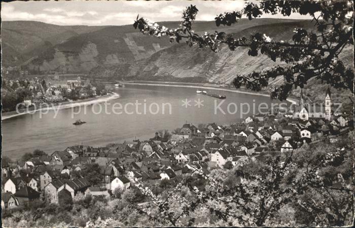 Boppard Rhein Rhein