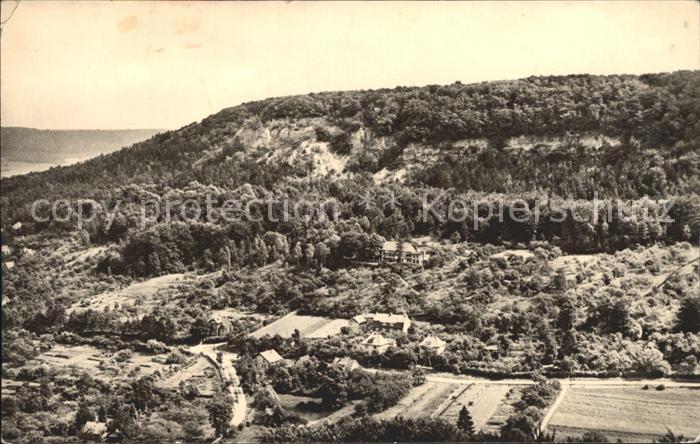 Bleicherode Vogelbergklippen mit Waldschloesschen