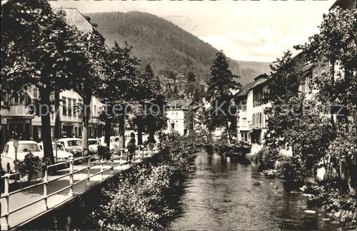 Wildbad Schwarzwald Enzpartie