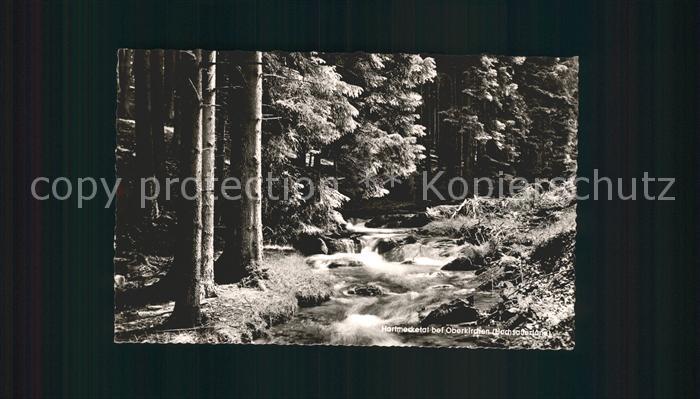 Oberkirchen Sauerland Hartmecketal